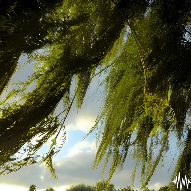 The Wind in the Willows